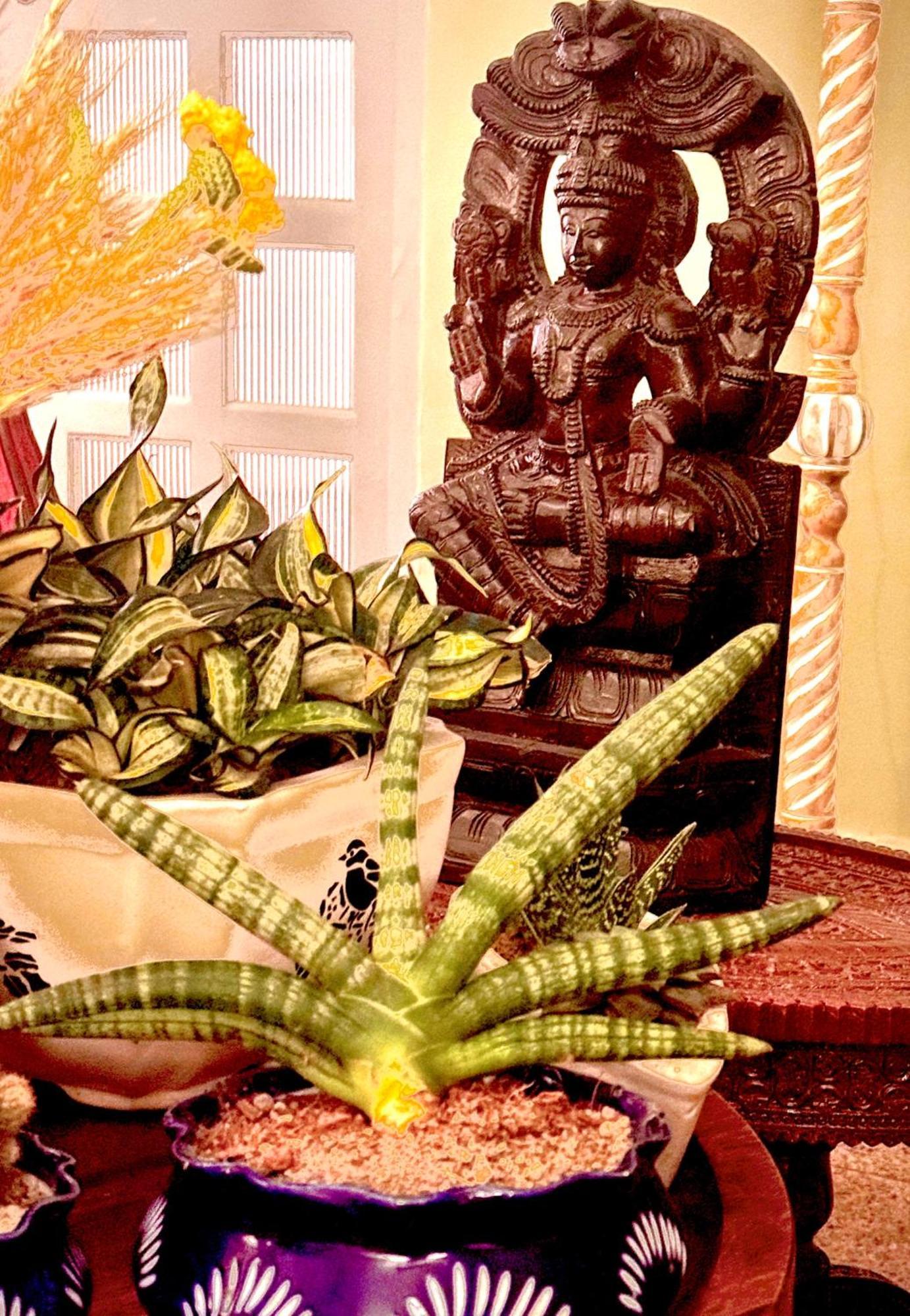 Vraj Vilas Vrindāvan Exteriör bild